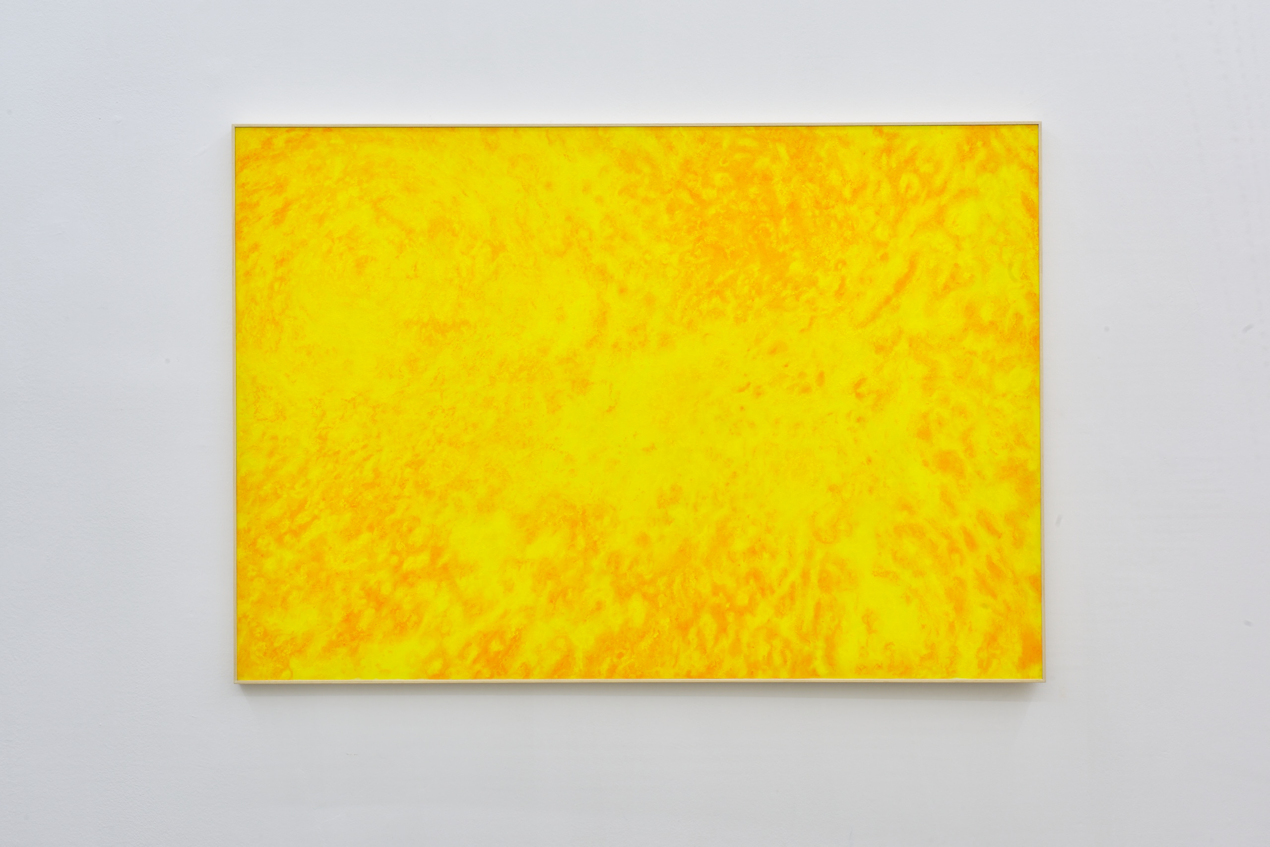 Pacelli-InesorabileII